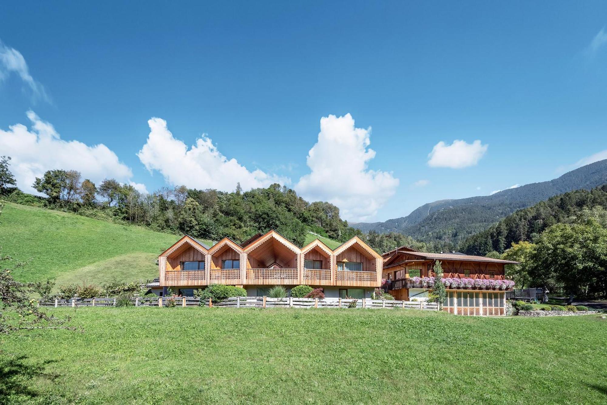 Niederthalerhof Chalets 布列瑟农 外观 照片