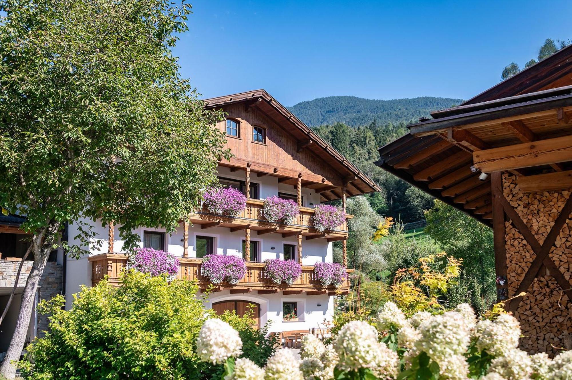 Niederthalerhof Chalets 布列瑟农 外观 照片