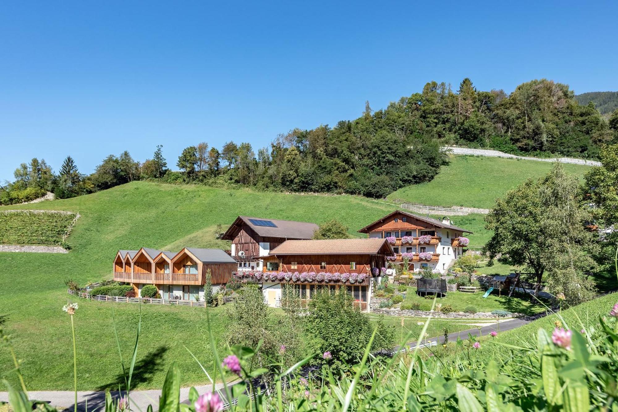 Niederthalerhof Chalets 布列瑟农 外观 照片