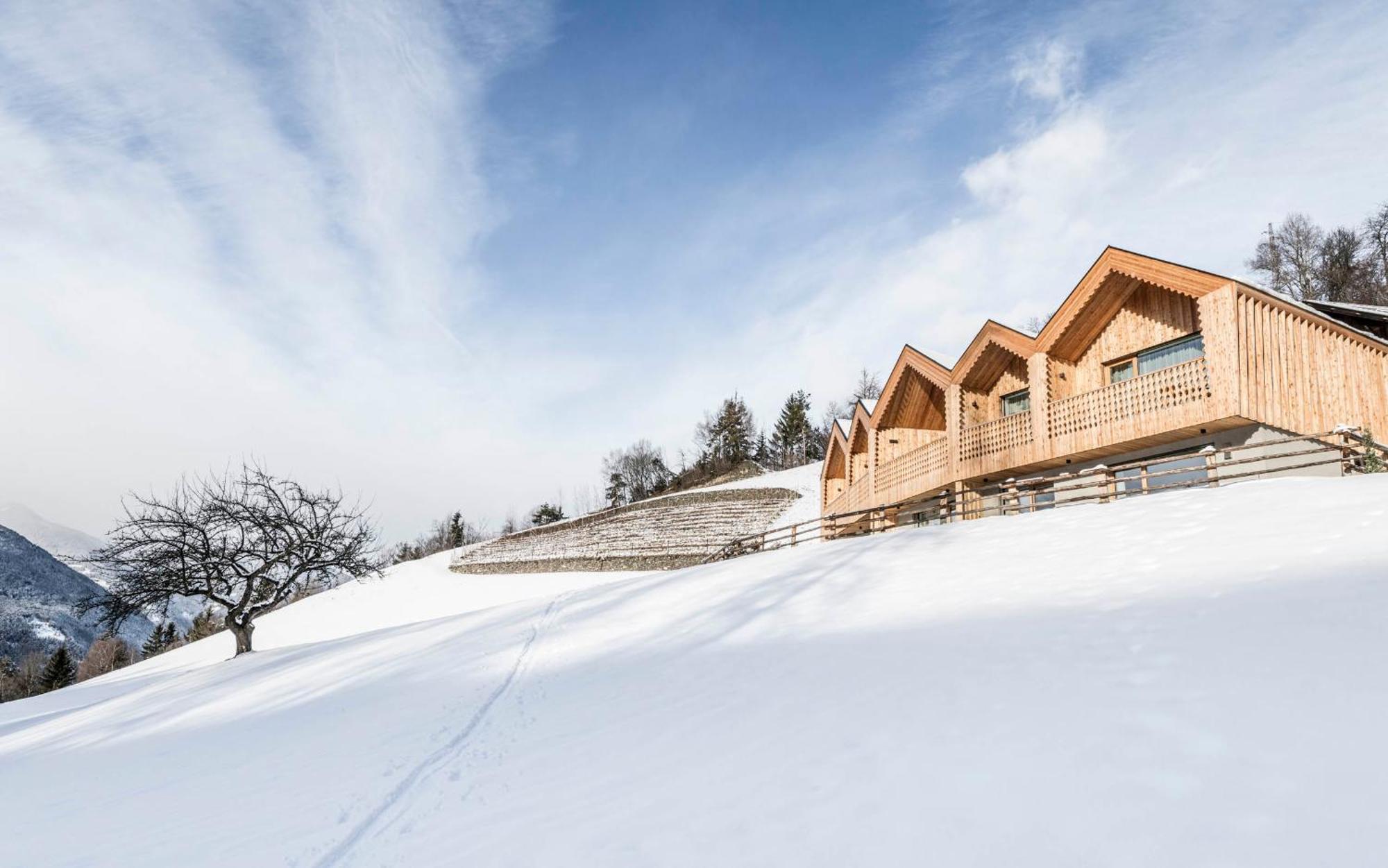 Niederthalerhof Chalets 布列瑟农 外观 照片
