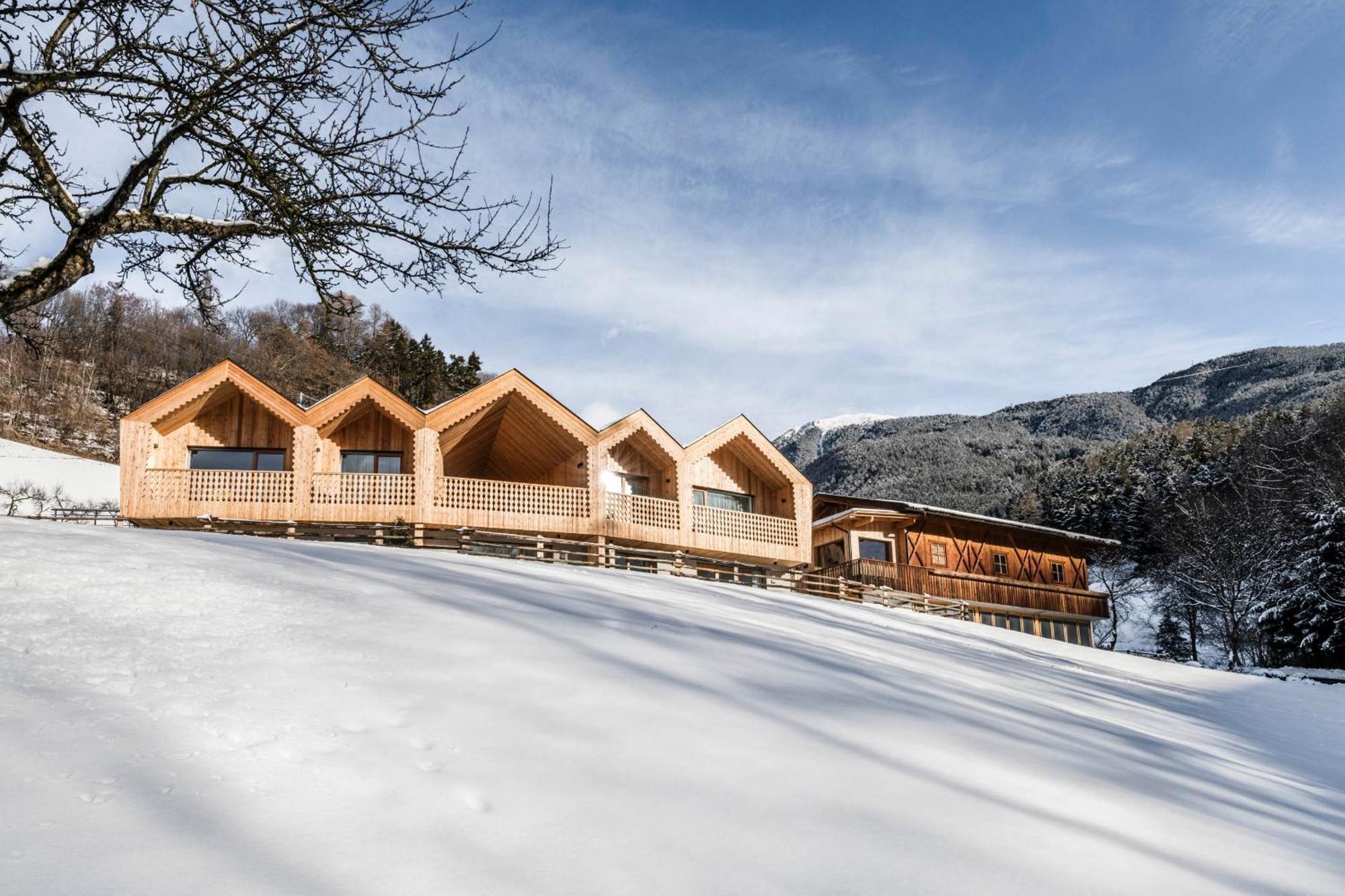 Niederthalerhof Chalets 布列瑟农 外观 照片
